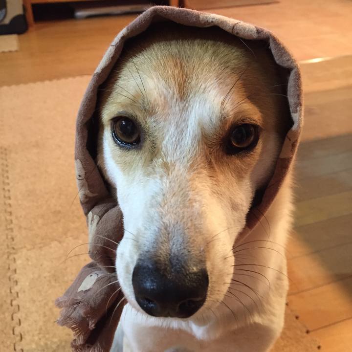 3b07edc4 8d95 4cf4 94f5 2e32bd56ba96