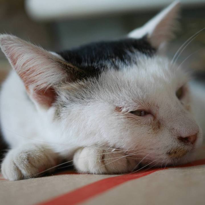 3b07f748 1953 4cc4 bc89 fb108241c2e0