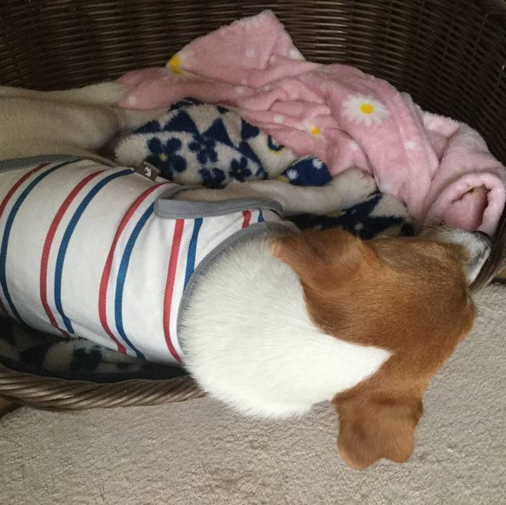 3b082df5 a4d8 4354 a803 9dbe9af522d5