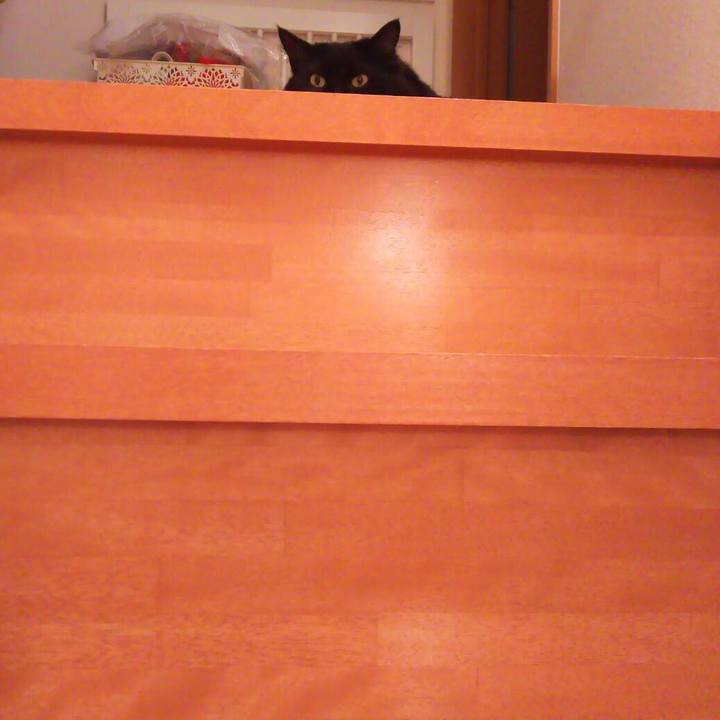 3b08842a 3917 4ec0 b86c f0e8e503cf0d