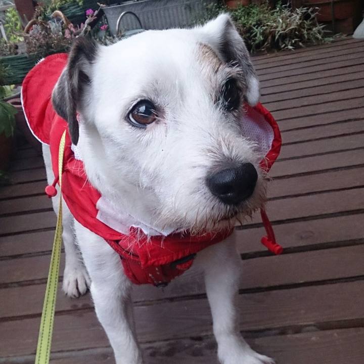 3b0967ff 08aa 42f1 a623 6129b74b8708