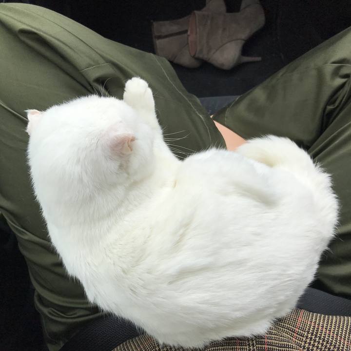 3b098678 4f5c 404f ad61 7cd2da672e05