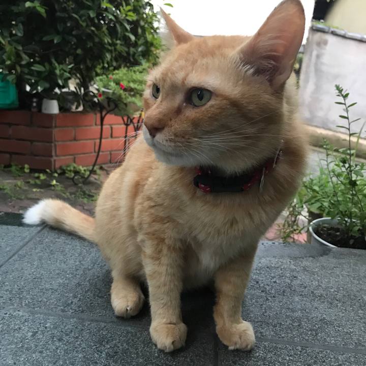 3b0a50a7 615d 44a8 85de b2652500197d