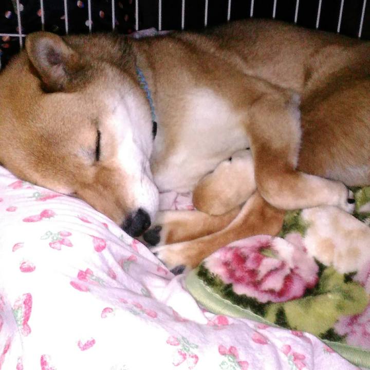 3b0af7d6 ac26 4586 bb23 2066de20e88b