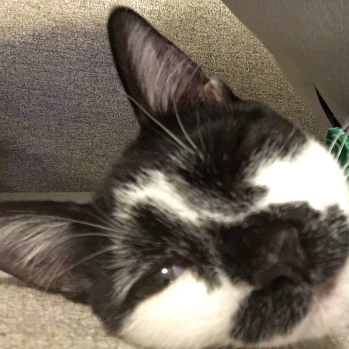 3b0b2f6f c507 4c49 8870 380457b444b5