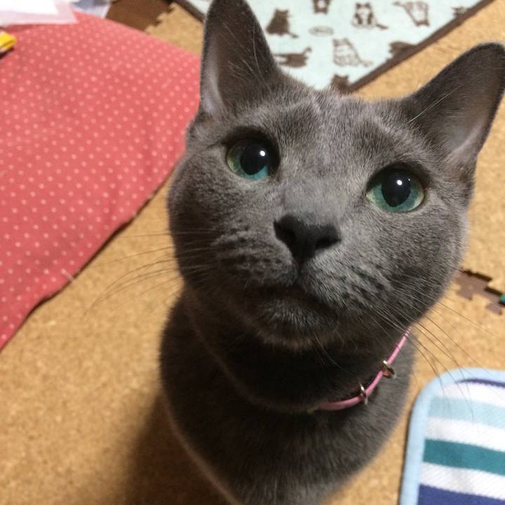 3b0ba63b 167c 4562 bea2 337fef711e31