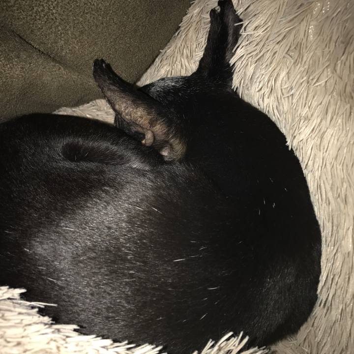 3b0c2aad 9a29 4bed a9d8 1f15469002ea