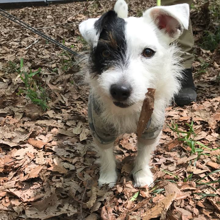 3b0c8ae1 8fd0 4539 8a80 25feb1e35b82