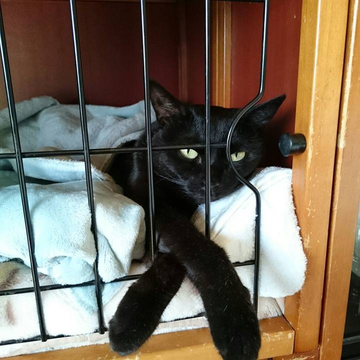 3b0cc98b 9074 476d 844b 57230188dbca