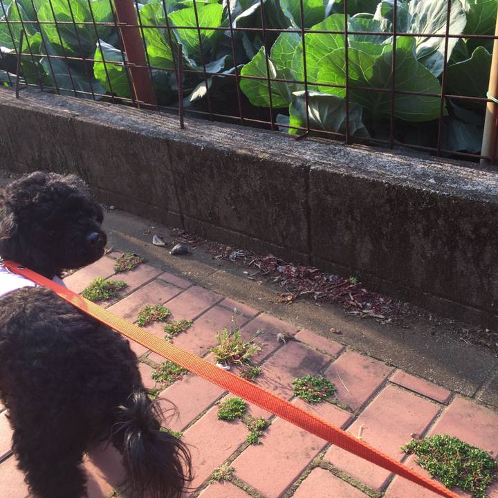 3b0ce573 0dcd 476b ac3b 02f1f0c3e5f8