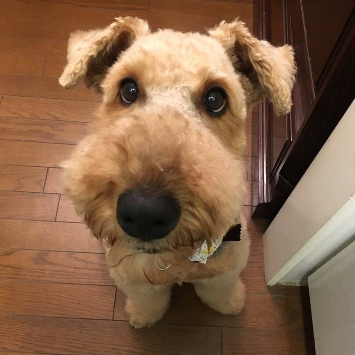 3b0d2a52 1153 4fbd 9de6 1854c3d6bfdd