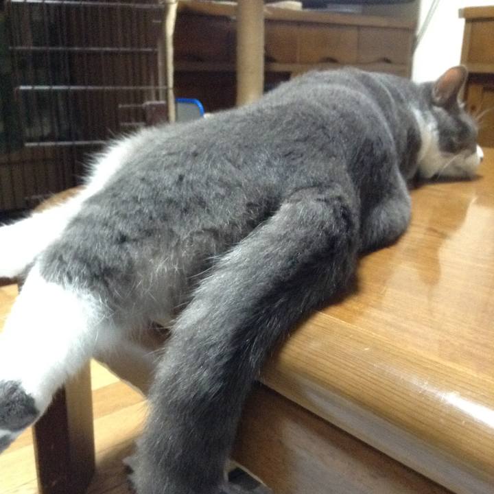 3b0d8924 f9d3 4689 a4ff ec9b9a9e5f7c