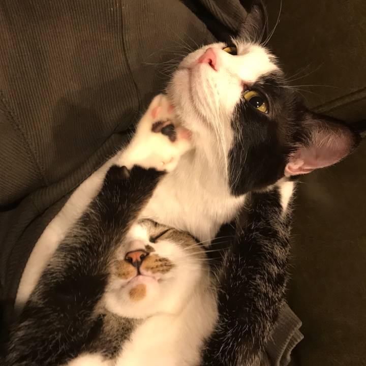 3b0da7c5 ea2e 4814 8bf7 7fb0e698bcfd