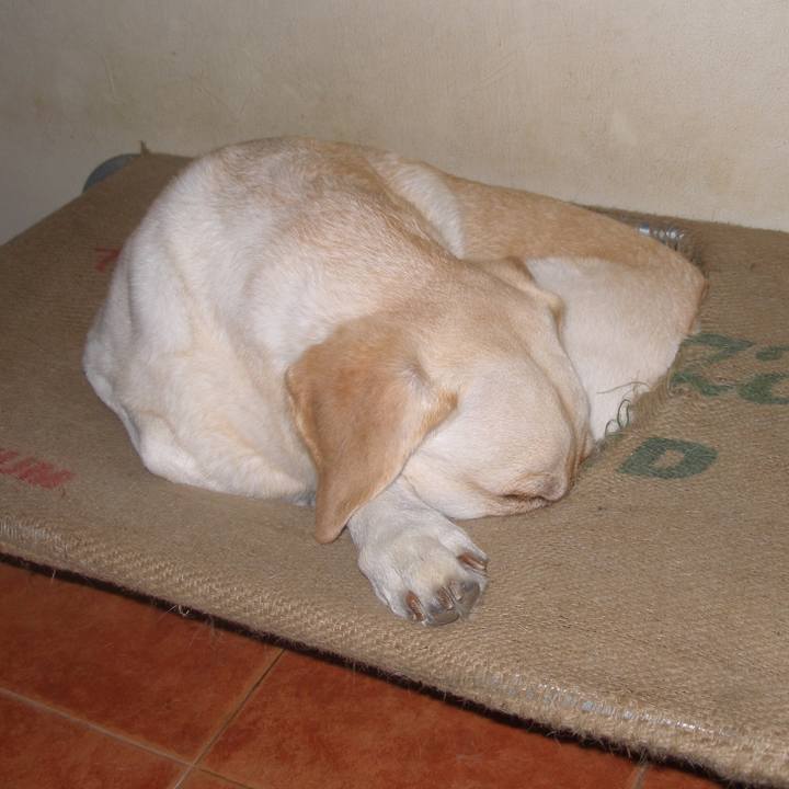 3b0f588a fd39 4216 bf53 b3db1e6c86ce