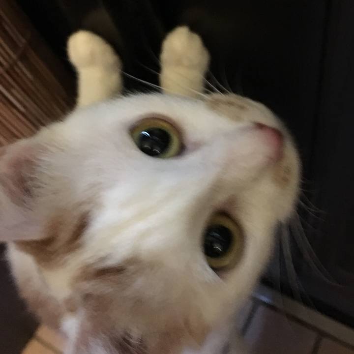 3b100c50 24e8 4afd 877b 27b8f87d4dd7