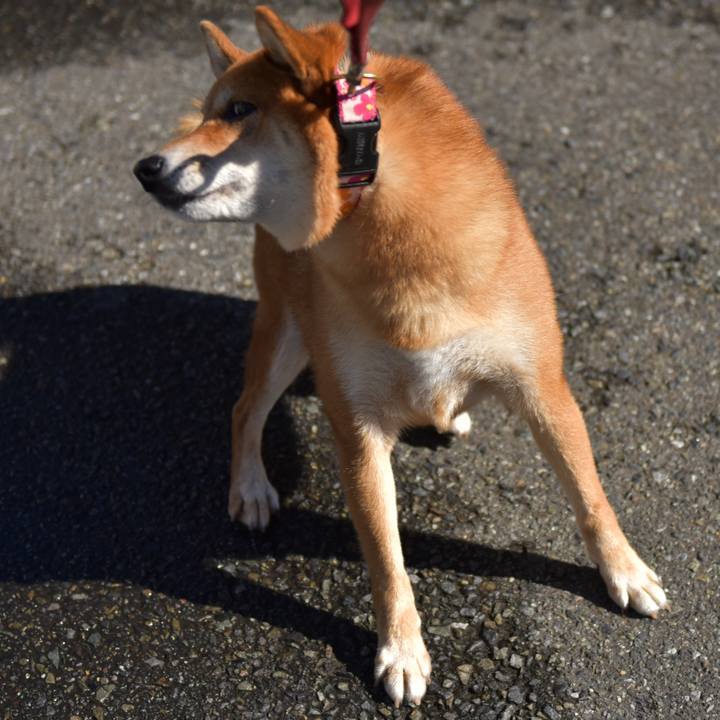 3b10123b d312 41f0 952e 837ddff05827