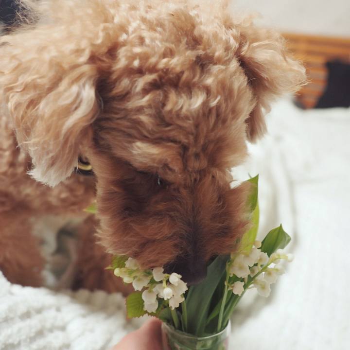 3b101d37 de07 4227 a63a c13b899bfdaa