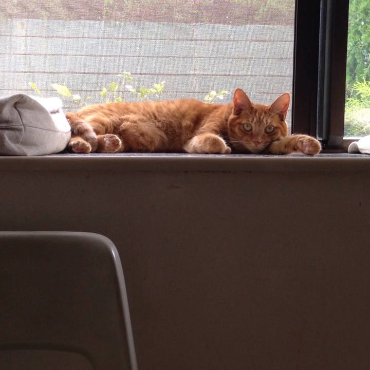 3b10b251 1e66 475c 99cd 8674be6a2b80