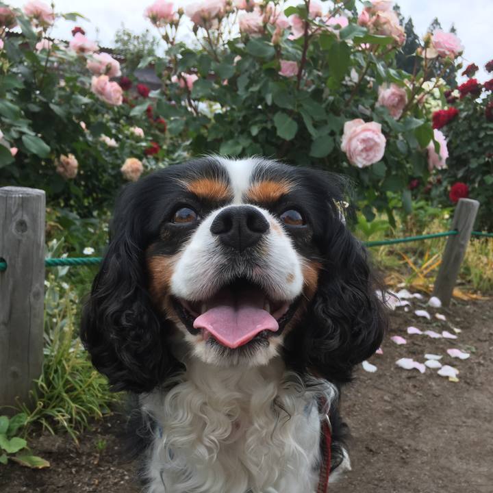 3b10d0da f855 4b70 bbf8 aa3e10cf3766