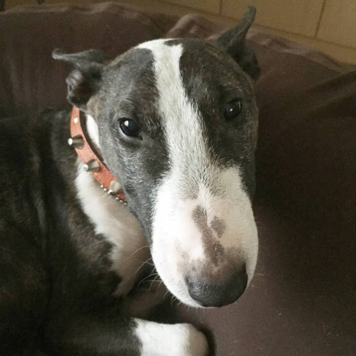 3b10d739 ab71 4f0e 9e34 540660dff5eb