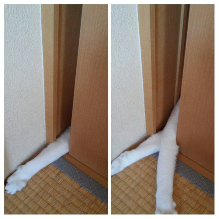 3b10f843 1656 4df4 a986 b907beada3dd