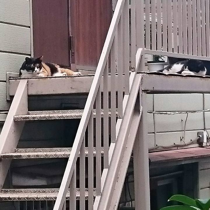 3b111bfe 0e96 4599 8373 03ef17d5814f