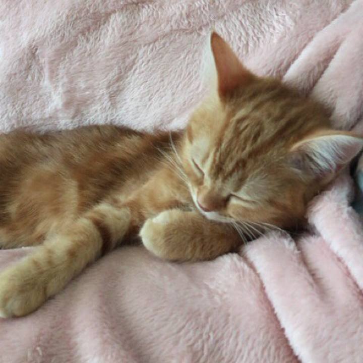 3b116825 61a3 4185 87d7 0ec75e9874a0