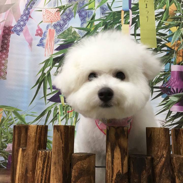 3b11a46e ea34 4882 a84f a453bf6dee81