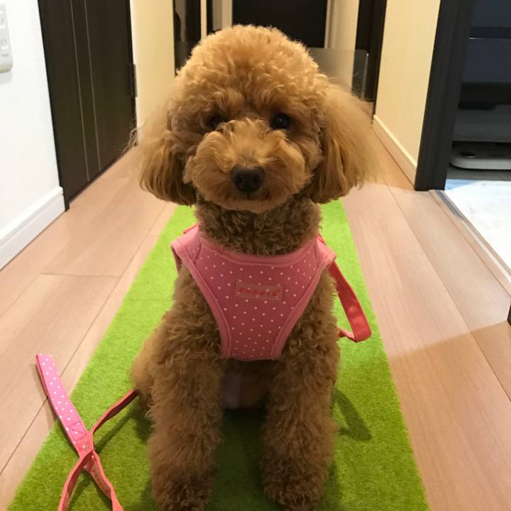 3b11d293 efa2 4596 bcde bd96b9438039