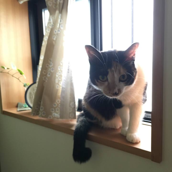 3b11dbb5 b88f 49d3 a207 2bd6040d9253