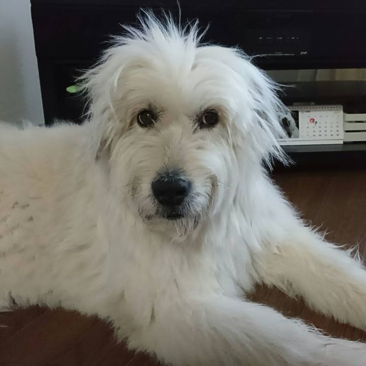 3b11e825 5c87 441a 9d7a 8804b7160d6a