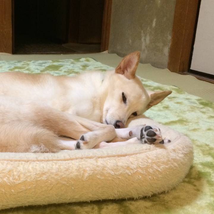 3b122fea 4b7c 460d 98b3 708f98730785