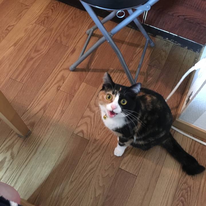 3b12758a 5edf 43dc 845d ebc986ad221d