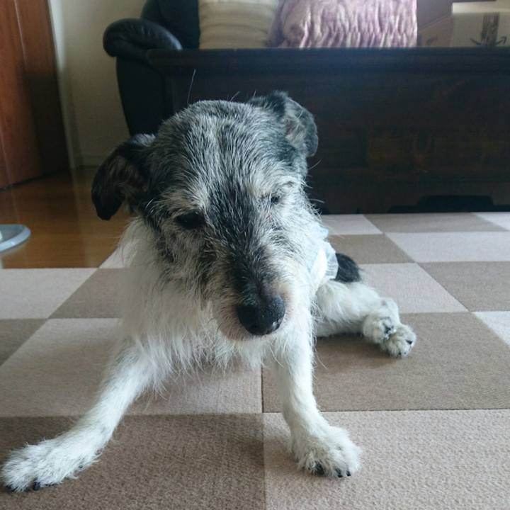 3b145ac6 faca 44cc b8f0 bc2ad4096727