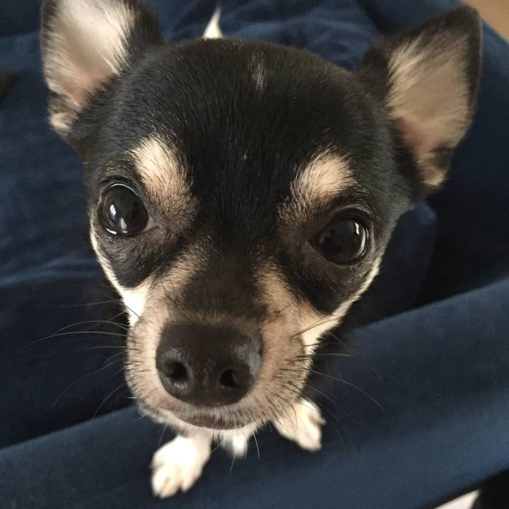 3b14d61c bf85 4c00 a34b 5caf38ad6189