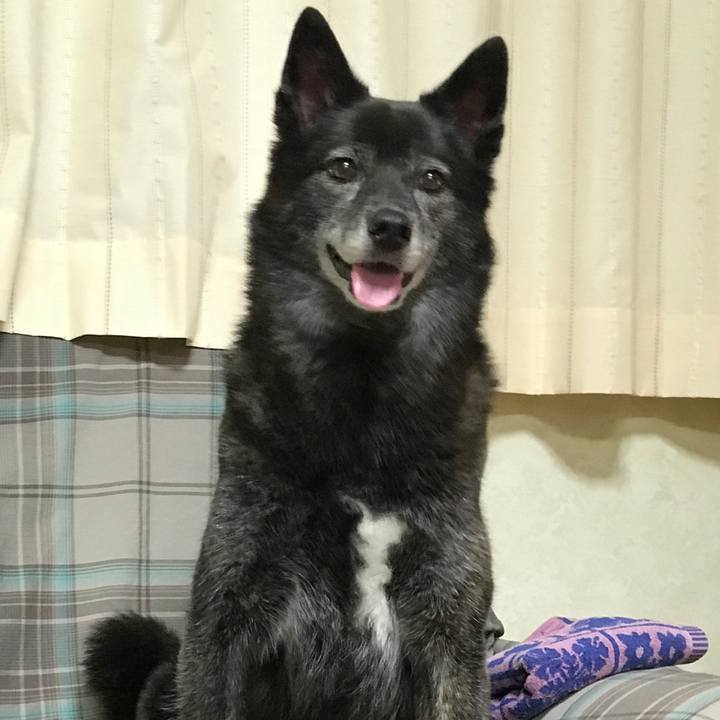 3b15153e e2ea 4b1d 80d1 7bf350610579