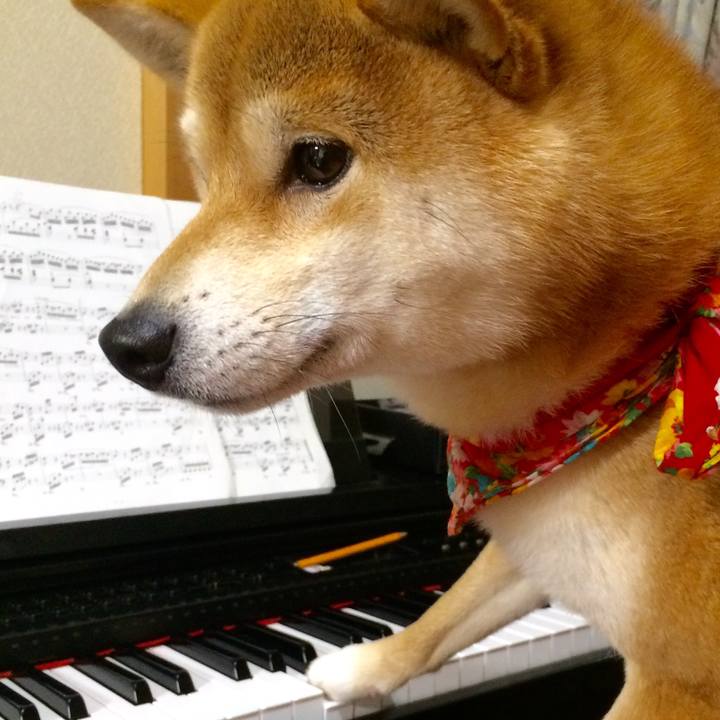 3b153784 64da 4ede 945d 02e9b03bf5a5