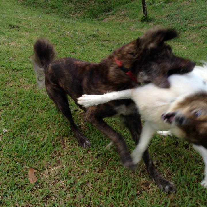 3b158867 5c6e 4f99 a4c3 4021901ba63e