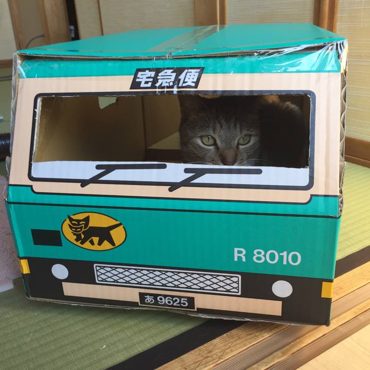 3b1651ce 1bee 4354 a1fd 2873d3e45a28