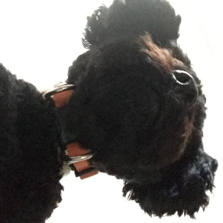 3b16b734 ab1f 4922 9aa6 efa6d2ae997c