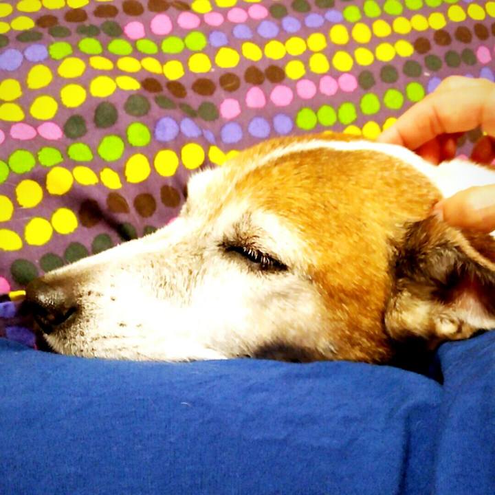 3b16bf2e a282 4905 89f4 224d771d2a7f