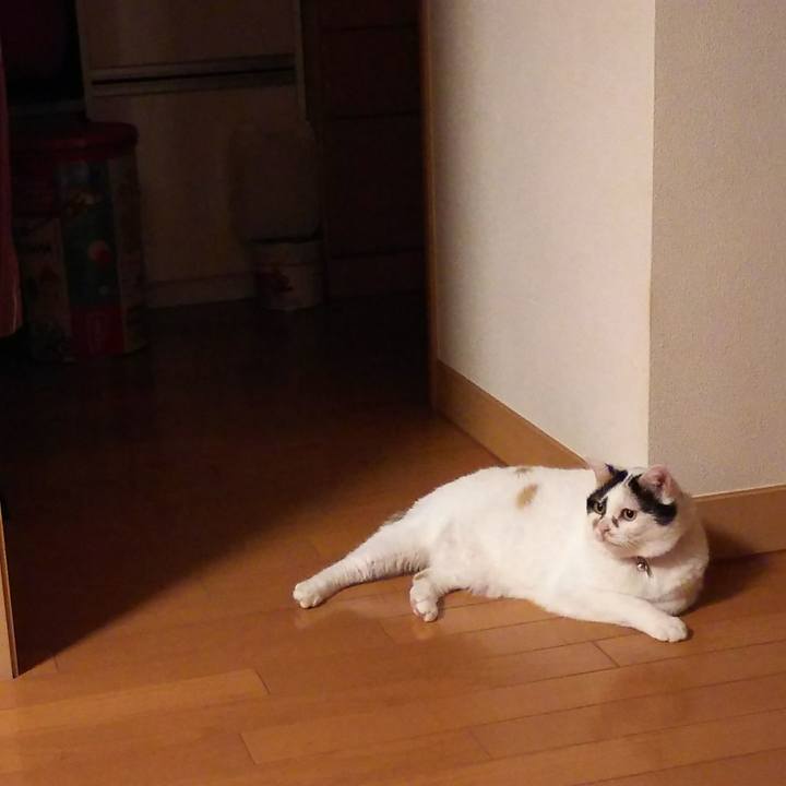 3b1752b2 a728 41ee a1eb 63584f758b4c