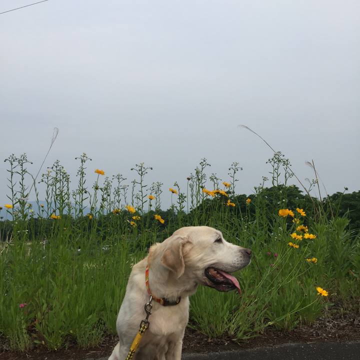 3b179b22 db6f 44df b75f 7d261b0b74ef