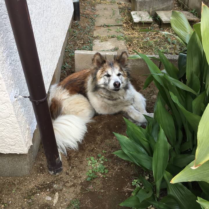 3b17bdd3 837f 4afa 9f39 fa5db88b050e