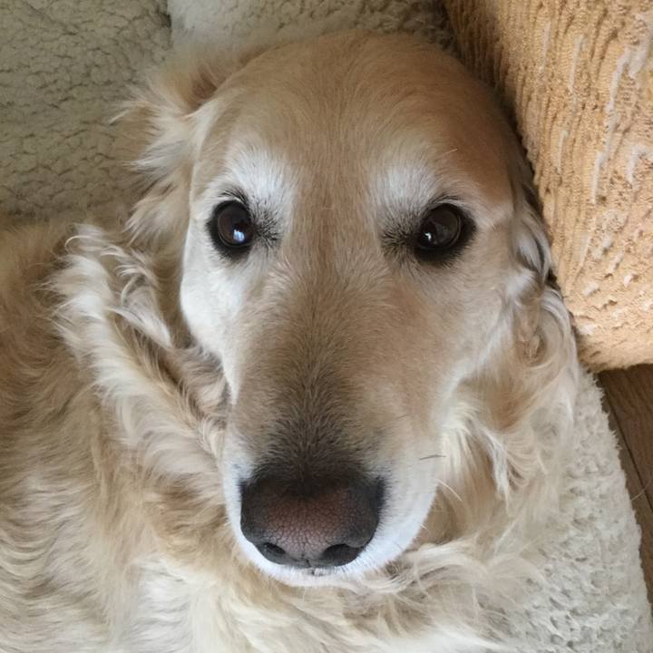 3b188a68 e98e 41dd ab8c f69575074c69