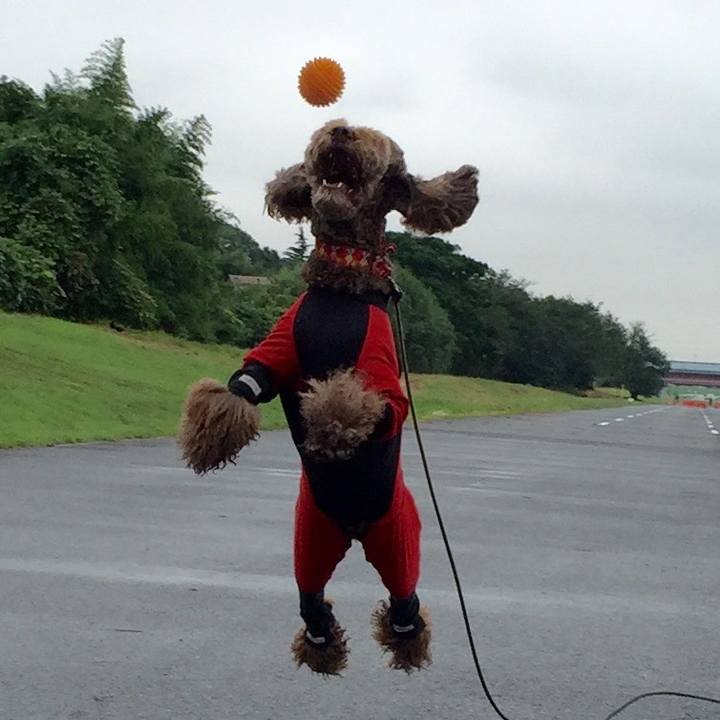 3b190ec5 d060 4177 a9d9 18984bcc0315