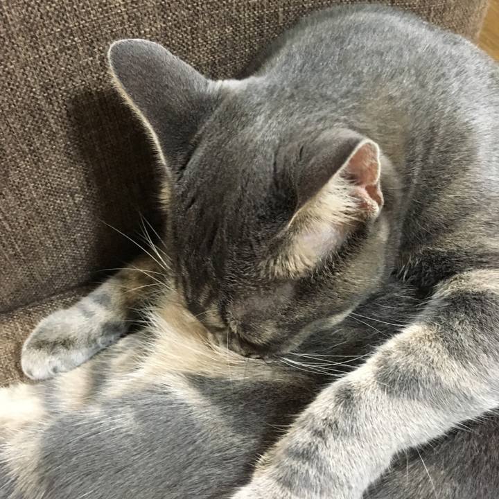 3b192e4f 4ac8 4605 bd31 384c0b5c52fa