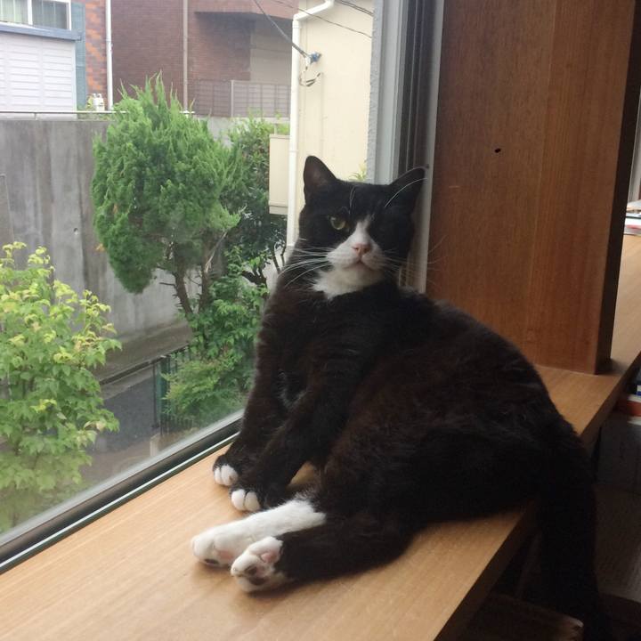 3b199e39 0706 45bf b24e 0053c0465a4e