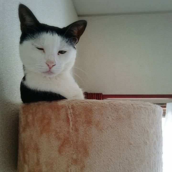 3b1b1200 343b 4eab b09c 38bcb74a80a5