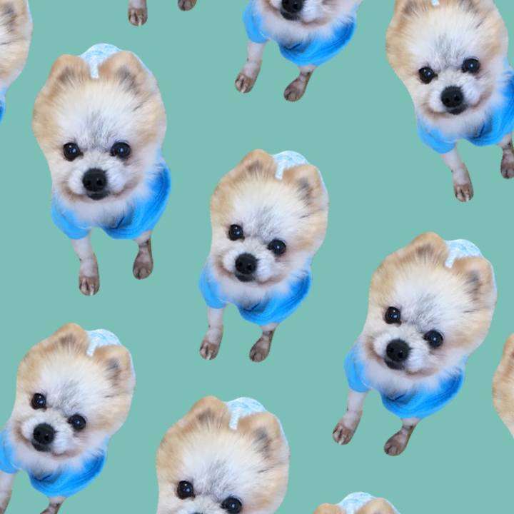 3b1be3a1 7d68 4d04 aa18 8af7dd7c17f3